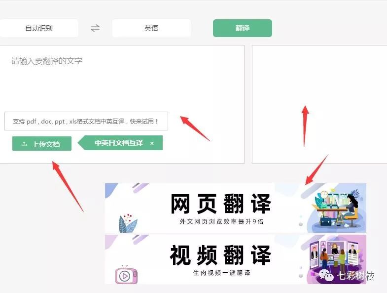 树枝学术 | 论文翻译全攻略